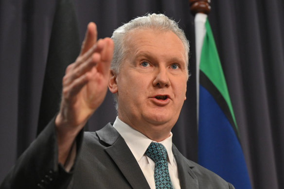 Workplace Minister Tony Burke addressing the media on Wednesday.