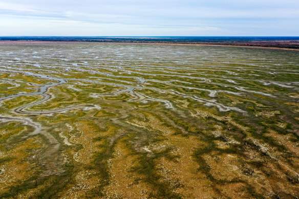 Lake Pamamaroo, part of the Menindee Lake System in western NSW, that is now all but dry.