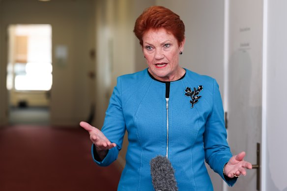 One Nation leader Pauline Hanson has accused Angus Taylor of pilfering her ideas.