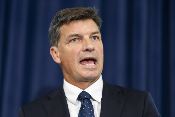 Shadow treasurer Angus Taylor.