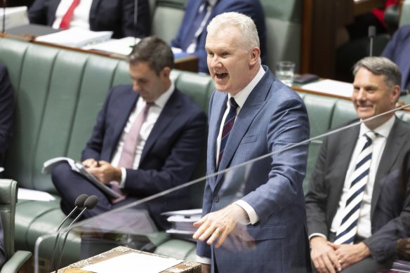 Workplace Relations Minister Tony Burke said middle-income earners also needed more pay.