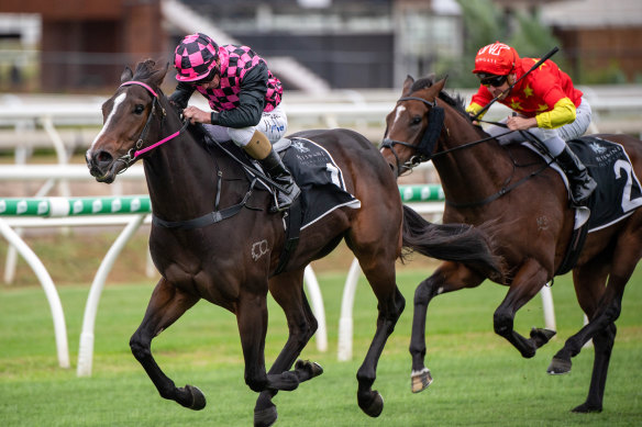 Rothfire proved too good in the Champagne Classic at Eagle Farm.