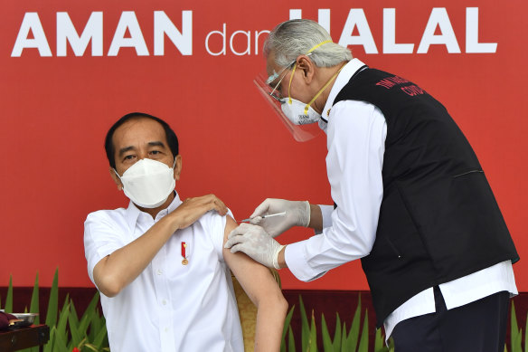 President Joko Widodo receives the first approved CoronaVac shot in Indonesia in January. 