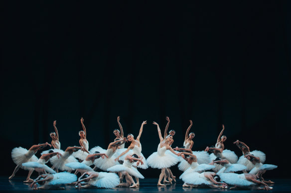 A scene from the Australian Ballet’s new production of Swan Lake.