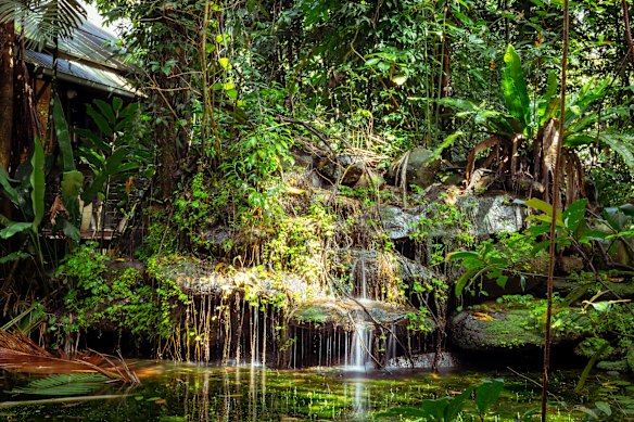 Intrepid’s Daintree Ecolodge.
