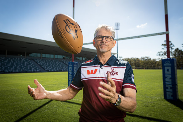 Reds coach Les Kiss is the best man to replace Joe Schmidt in charge of the Wallabies.