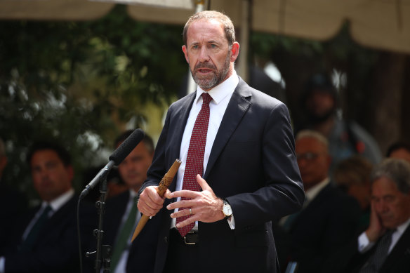 NZ Justice Minister Andrew Little speaks at the Treaty grounds Te Whare Runanga in Waitangi.