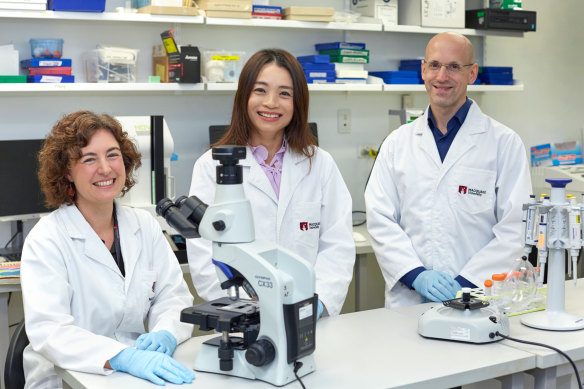 Dr Annika van Hummel, Professor Yazi Ke, and Professor Lars Ittner are part of the research team at Macquarie University who have been searching for ways to treat MND and frontotemporal dementia for 15 years.