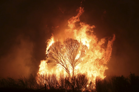 A bushfire burning south of Canberra in early February brought another round of heavy smoke and fire threat to the nation's capital.