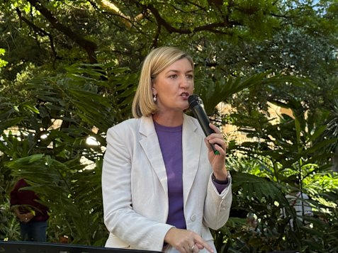 Opposition spokesperson for women Shannon Fentiman has asked how many women have been killed by a partner or former partner in Queensland this year.