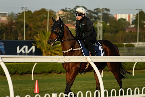 Everest 2025: Ka Ying Rising trainer David Hayes confident race ...