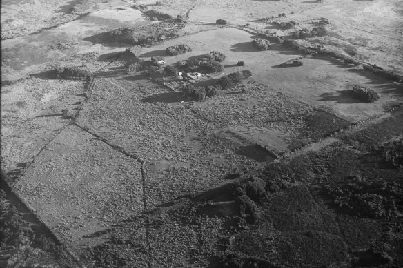 An aerial photo of a King Island farm in May 1946. Since colonisation much of the island has been cleared of native forest habitat and only remnants are left. Local conservation groups are replanting trees to try and re-link wildlife corridors. 