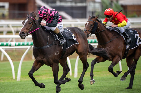Rothfire proved too good in the Champagne Classic at Eagle Farm on Saturday.