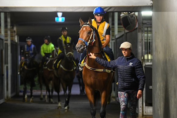Natalie Young (right) with Tagaloa at trackwork this week.