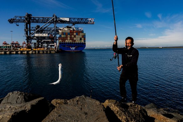 Mr Wong catches a fish in Botany Bay, at the foreshore boat ramp.