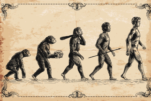 Home sapiens, the modern man carries the genes of multiple ancient human species.