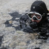 A diver surveys the sea as experts work to clear a mass of “sea snot” off Istanbul.