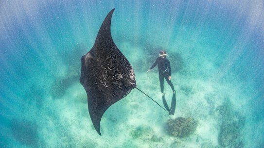 Tim Winton at Coral Bay in Ningaloo.