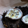 Native Angasi oyster with parsnip puree and yuzu agrumat.