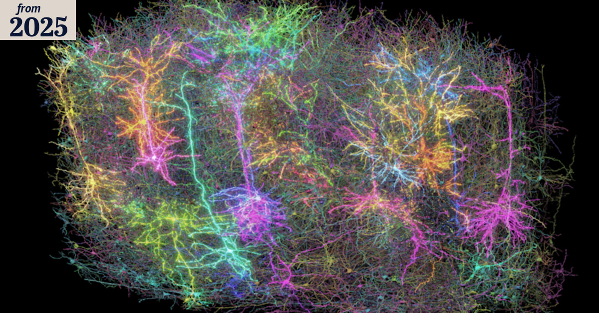 How the brain works: Mouse watches The Matrix, his neurons light hope ...