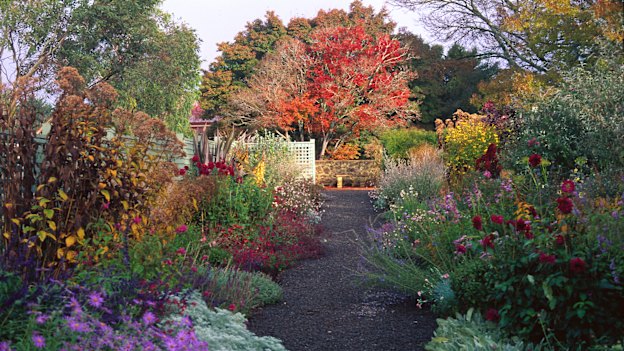 The colourful charm of Lambley Gardens & Nursery near Ballarat.