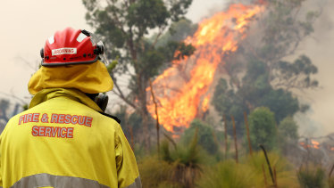 Fire & Rescue Service officer watches an approaching bushfire in Upper Swan on Tuesday.