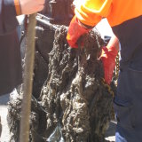 A blockage of wet wipes also known as a fatberg.