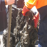 A blockage of wet wipes also known as a fatberg.