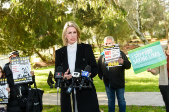 Opposition health spokeswoman and senior Liberal MP Georgie Crozier.