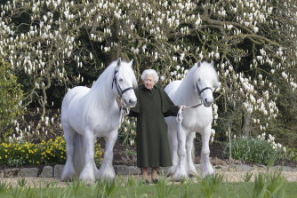 Queen Elizabeth II with two of her fell ponies, Bybeck Katie and Bybeck Nightingale. The photo was released to mark Her Majesty’s 96th birthday this week. 