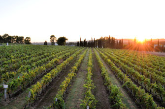 Lake’s Folly, a family-owned, boutique winery in the Hunter Valley, NSW.