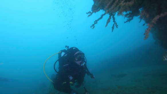 A member of the dive team. 