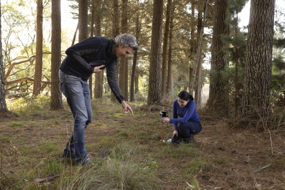 Banks and Ellis at the truffle farm.