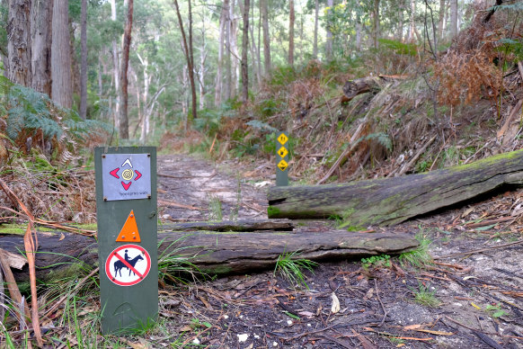 The Beeripmo walking track at Richards Campground in Mount Cole State Forest.