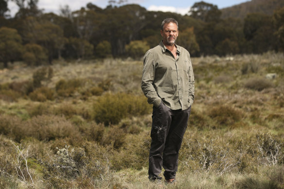 Richard Swain of the Invasive Species Council, at the horse-damaged bog at Peppercorn Creek, Long Plain.