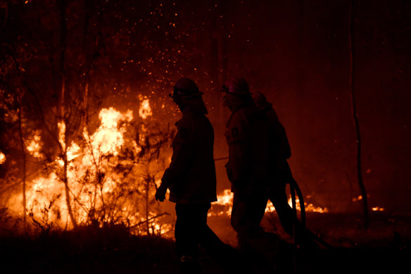 Logging rules were changed after the Black Summer bushfires. 