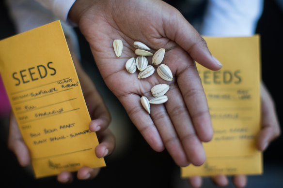 Seeds from the library.