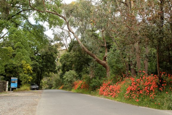 Vermont’s Glenburnie Road, pictured in 2012.