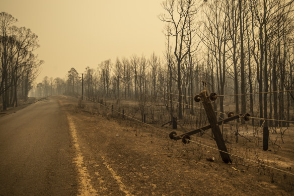 Bushland destroyed by the Currowan Fire to the west of the Kangaroo Valley.