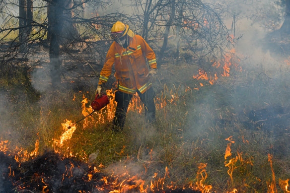 A member of a CFA strike team performs controlled burning in Victoria’s north-east.
