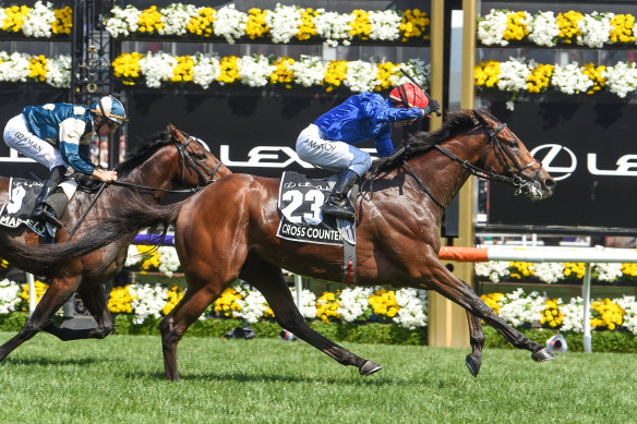 2018 Melbourne Cup winner Cross Counter is set for this year's Cup.
