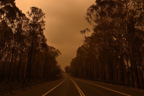 The Princes Highway between the towns of Bodalla and Mogo in January 2020. 