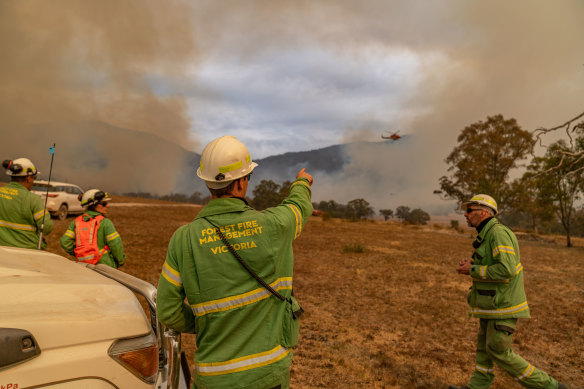 Forest Fire Management Victoria crews tackle the Bayindeen fire earlier this week.