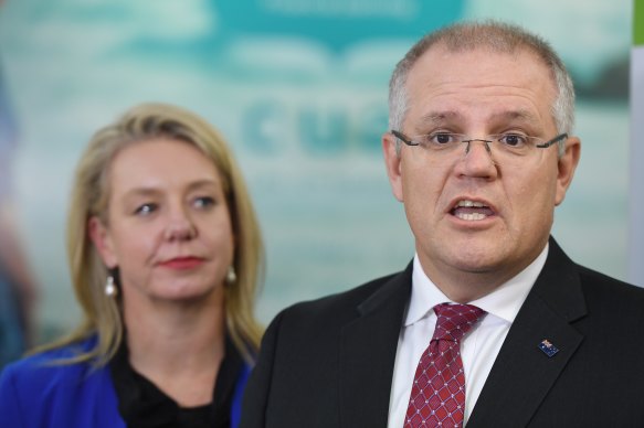 Prime Minister Scott Morrison is expected to receive a departmental review into Bridget McKenzie's conduct as sports minister. 