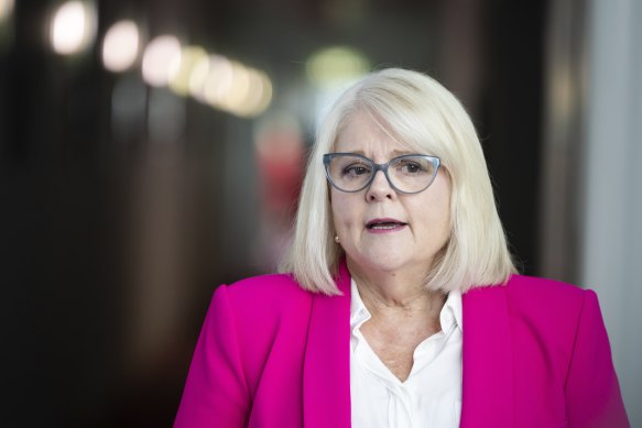 Former home affairs minister Karen Andrews is critical of Pezzullo.