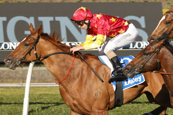 Prime Star has been set for the Scone Guineas since finishing down the track in the Randwick Guineas in March.