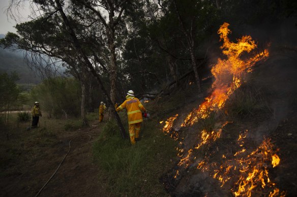 RFS crews from Lower Portland along with a Hills Strike Team conduct a backburn on the Gospers Mountain Fire last week.