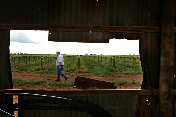 Grape grower Bruno Brombal is worried about the mental health of farmers and the future of the winegrape growing industry.