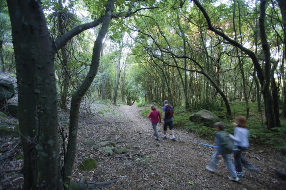 The Great Southern Walk, the first of a series of new multi-day treks, would link the Royal National Park and the Kamay Botany Bay National Park and the Escarpment.