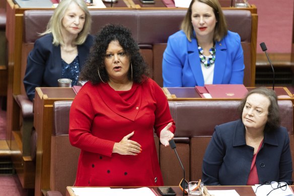 Assistant Minister for Indigenous Australians Malarndirri McCarthy.